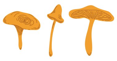 Sonbahar mantarları. Turuncu el, orman mantarı koleksiyonu çiziyor. Basit düz karalama çocukça elementler. Çizgi film çocukları izole edilmiş vektör çizimi