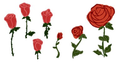 Tebeşir gülü çiçeklerini hazırlayın. Botanik çiçeği yapraklı çiçek dalları, tomurcuklar sapında. Elle çizilmiş sevgililer günü aşk gülleri koleksiyonu. Serbest ve klasik kalem desenli vektör çizimi izole edildi