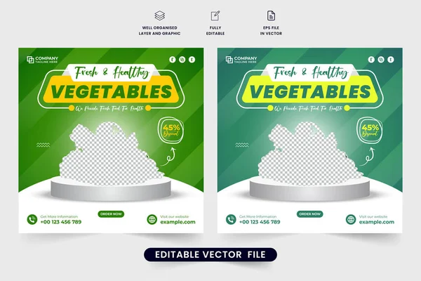 Healthy Vegetable Template Design Social Media Marketing Vegetarian Food Promotional — Stock Vector