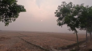 Kış sabahı yavaş gün doğumu 4K videosu. Sakin ve sakin bir çevresi olan güzel doğa manzarası 4K görüntüleri. Çeltik tarlası, ağaçlar ve sabah gökyüzü olan 4K döngüsü..