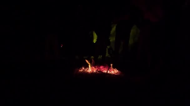 冬の夜キャンプファイヤーパーティー4Kビデオ 炎を上げ 棒を使用して火により多くの干し草を与える 小さなたき火の炎4K映像 暗い背景に燃えるたき火の明るい炎 — ストック動画