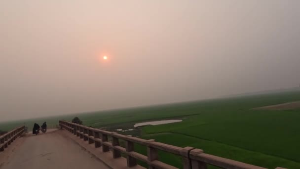 美丽的绿色稻田和草地景观与日落和天空地平线从一个移动的车辆 狭窄的桥和土路旁边的绿色稻田4K视频 过桥的车辆 — 图库视频影像