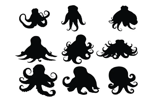 Octopus Długimi Mackami Sylwetka Zestaw Wektor Kolekcja Wzornictwa Ikony Ośmiornicy — Wektor stockowy