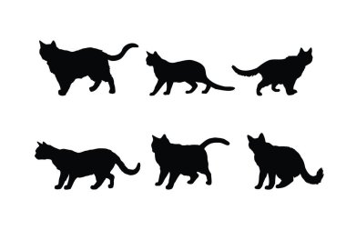 Şirin kedi yürüyen siluet demeti tasarımı. Kedi farklı pozisyonlarda duruyor siluet koleksiyonu. Beyaz arka planda sevimli ev kedisi vektör tasarımı. Kedi durmakta olan siluet kümesi vektörü.