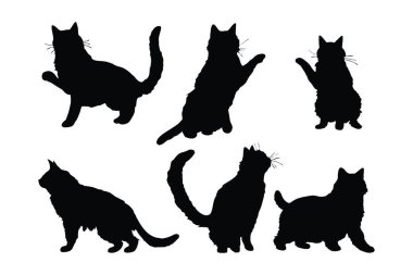 Beyaz arka planda sevimli ev kedisi vektör tasarımı. Kedi ayakta duruyor, siluet kümesi vektörü. Siluet demeti tasarımında oturan sevimli bir kedi. Kedi farklı pozisyonlarda duruyor. Silüet koleksiyonu.