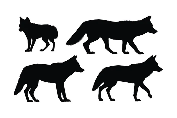 歩行シルエットバンドルのデザインをコヨーテ 白い背景に野生のコヨーテベクトルデザイン 異なる位置のシルエットコレクションに立ってCooyote オオカミ歩行シルエットセットベクトル — ストックベクタ