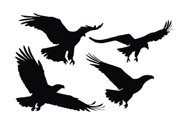 Силуэт Летающего Орла Дикий Вектор Орла Белом Фоне Большая Птица — стоковый вектор