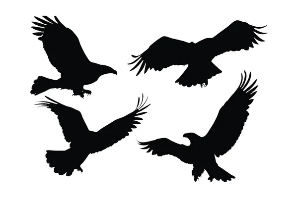 Большая Птица Разных Положениях Силуэта Дизайна Силуэт Дикого Орла Устанавливает — стоковый вектор