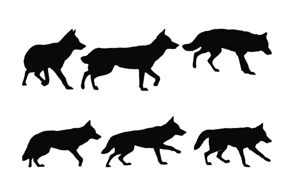 Wildes Kojoten Vektordesign Auf Weißem Hintergrund Coyote Walking Silhouette Bündel — Stockvektor