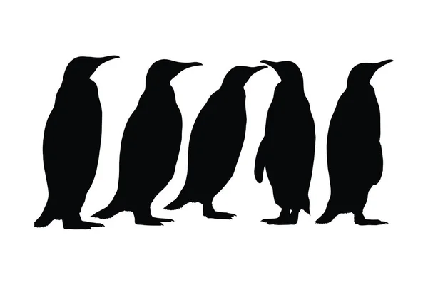 Pingwin Stojący Różnych Pozycjach Wektor Zestawu Sylwetkowego Kolekcja Sylwetki Dorosłego — Wektor stockowy