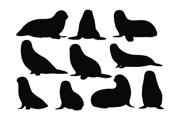 Seals Sitting Different Positions Silhouette Set Vector Small Sea Lion — Stock Vector