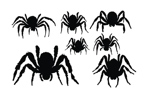Scary Spider Sitting Silhouette Set Vector White Background Poisonous Insects — Stock Vector