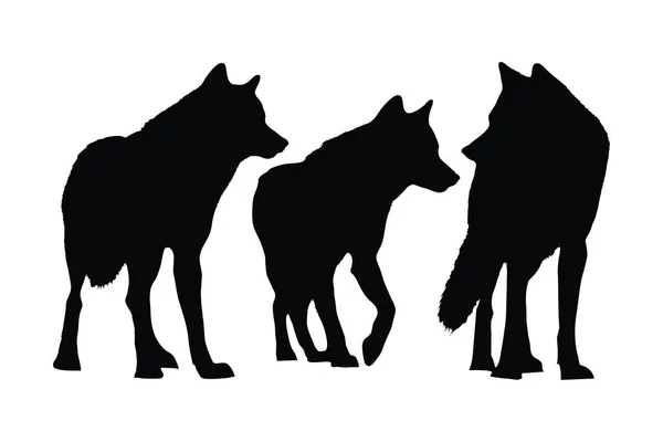 Lobos Andando Diferentes Posições Silhueta Conjunto Vetor Coleção Silhueta Lobo —  Vetores de Stock