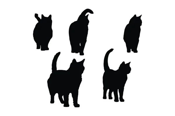 stock vector Cute feline front side silhouette set on a white background. Beautiful domestic cat silhouette bundle design. Cat walking and standing in different positions. Cat full body silhouette collection.