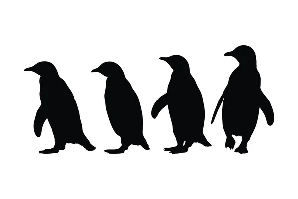 Penguin Full Body Silhouette Collection Wild Flightless Bird Silhouette Bundle — Stock Vector