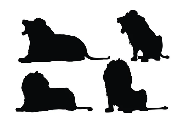 危险的狮子坐在一个白色的背景上 野生狮子的轮廓束设计 食人族大型猫科动物以不同的姿势坐着咆哮 狮子全身轮廓系列 — 图库矢量图片