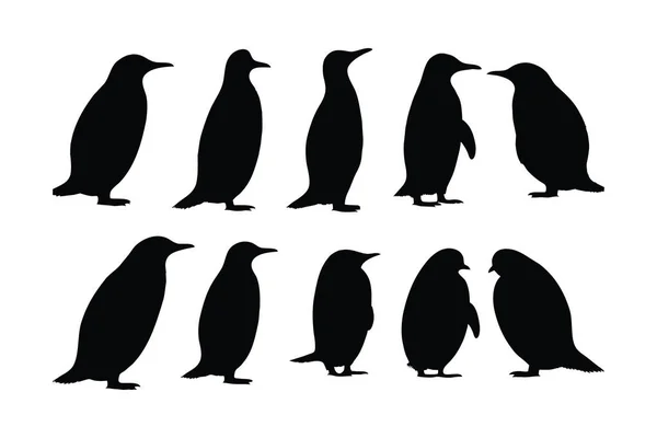 Netter Pinguin Steht Silhouette Auf Weißem Hintergrund Eingestellt Wild Flugunfähige — Stockvektor
