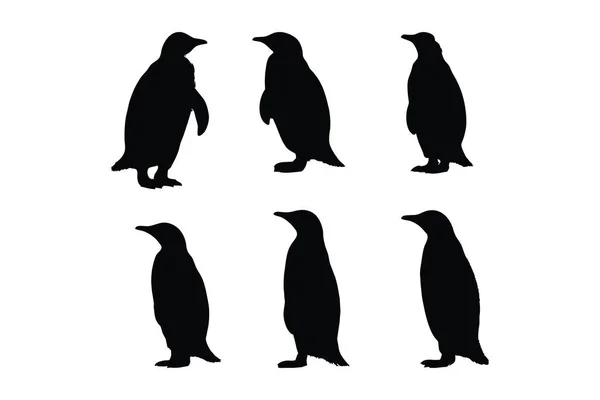 Wild Flightless Bird Silhouette Bundle Design Cute Penguin Standing Silhouette — Stock Vector