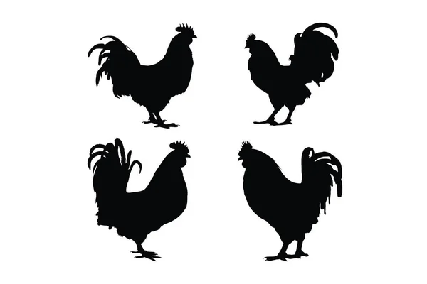 Coqs Domestiques Debout Dans Différentes Positions Coq Herbivore Debout Silhouette — Image vectorielle