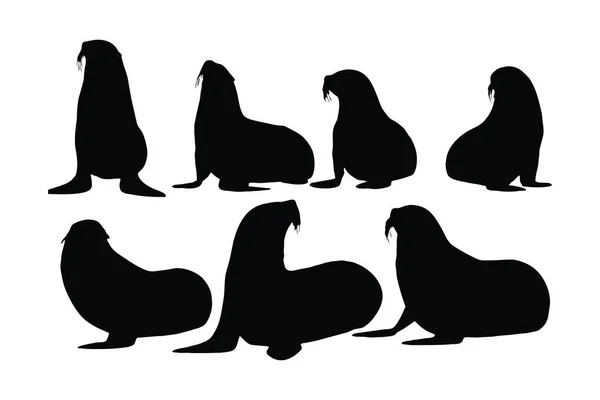 Wilde Seelöwen Sitzen Verschiedenen Positionen Große Meeresbewohner Und Seelöwen Sitzen — Stockvektor