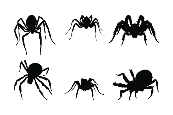 Dangerous Tarantula Spiders Silhouette Bundle Wild Insects Sitting Different Positions — Stock Vector
