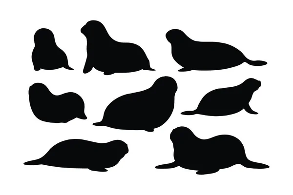 stock vector Cute seals silhouette bundle design. Wild sea lions sitting in different positions. Seals full body silhouette collection. Big sea creatures and sea lions sitting, silhouettes on a white background.