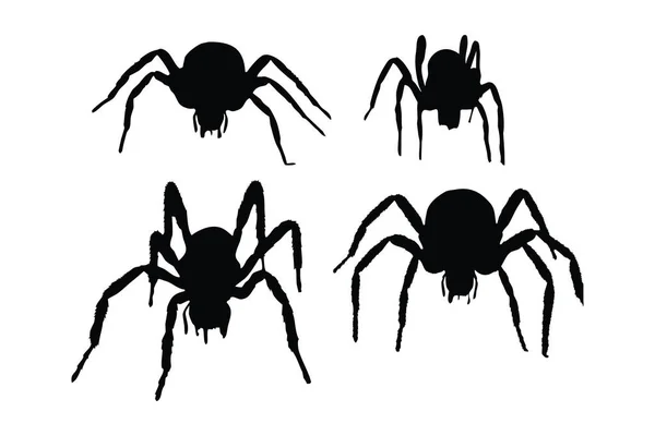 Spider Full Body Silhouette Collection Wild Insects Sitting Silhouettes White — Stock Vector