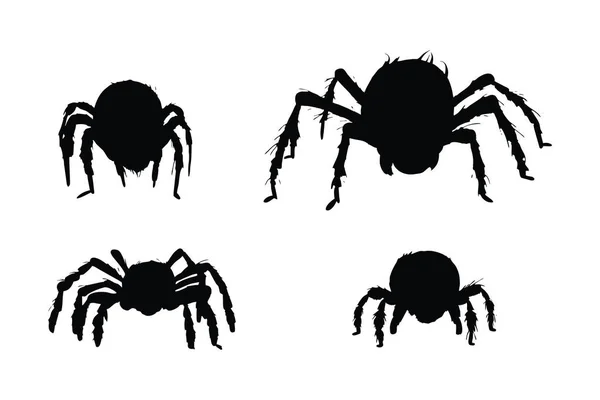 Wild Insects Sitting Silhouettes White Background Spider Full Body Silhouette — Stock Vector