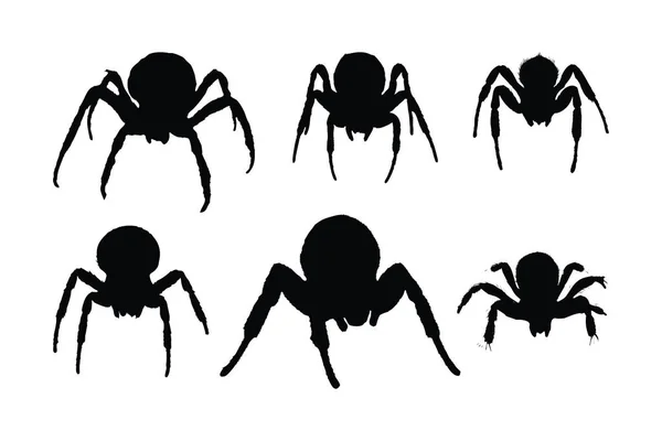 Furry Spiders Insects Sitting Silhouettes White Background Wild Insects Sitting — Stock Vector