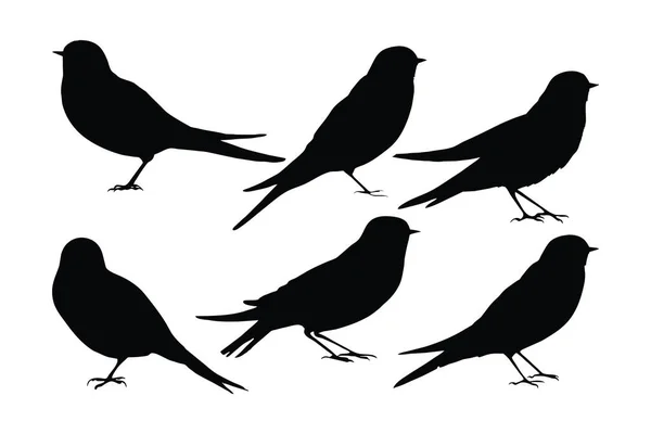 Красивые Птицы Сидят Летают Разных Положениях Дикие Ласточки Летают Птицы — стоковый вектор