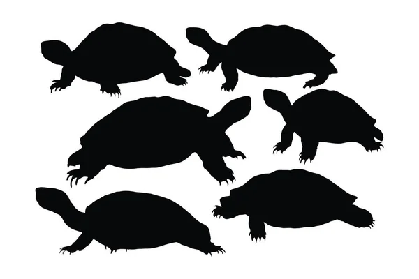 Vild Sköldpadda Stående Silhuetter Vit Bakgrund Havsvarelser Och Reptiler Går — Stock vektor