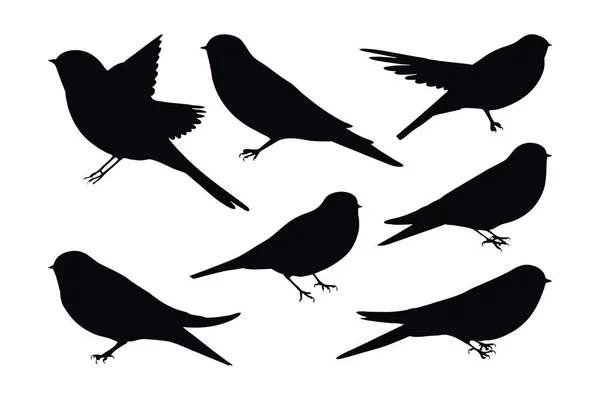 野生のツバメの鳥の飛行 白い背景にシルエット フルボディシルエットのコレクションを飲み込む 美しい鳥が座って別の位置に飛んでいます 野生のツバメ鳥のシルエットバンドル — ストックベクタ