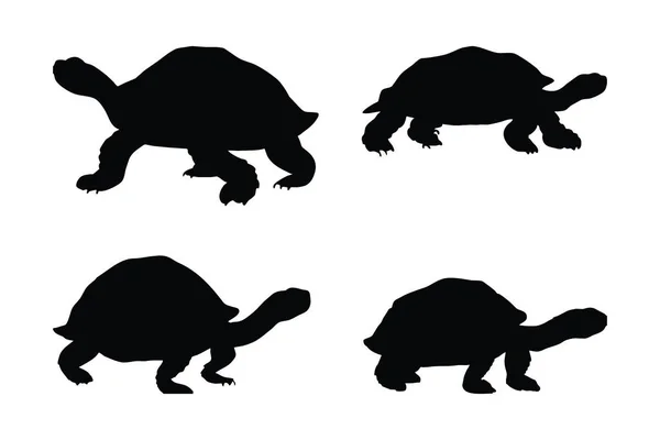 Vilda Sköldpaddor Stående Silhuetter Vit Bakgrund Havsdjur Och Sköldpaddor Som — Stock vektor