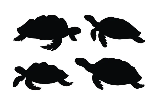 stock vector Tortoise full body silhouette collection. Turtle silhouette bundle. Wild turtle standing and walking in different positions. Sea creatures and reptiles like turtles, silhouettes on a white background.