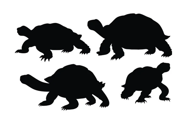 Морские Существа Рептилии Черепахи Силуэты Белом Фоне Коллекция Силуэта Тела — стоковый вектор