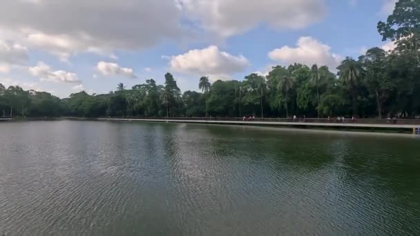 Όμορφη Θέα Στο Κεντρικό Πάρκο Μια Μεγάλη Λίμνη Και Πράσινα — Αρχείο Βίντεο