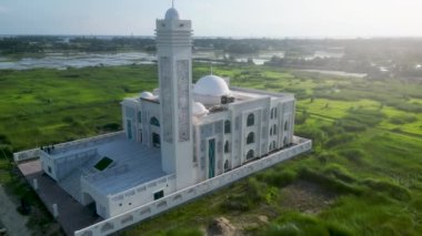 Bangladeş Model Camisi Brahmanbaria, uçsuz bucaksız yeşil şeker kamışı arazisinin ortasında model bir cami, beyaz caminin 4k drone videosu, Vahşi şeker kamışı tarlasının ortasında bir cami.