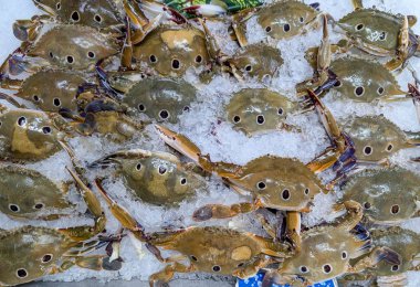Sabahın erken saatlerinde hareketli bir deniz ürünleri pazarında buzda dinlenen taze yakalanmış yengeçler alışverişçilerin hayran kalacağı doğal renklerini ve dokularını sergiliyorlar.
