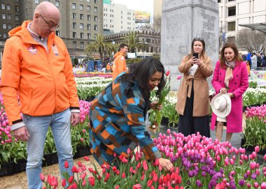 San Francisco, CA - 4 Mart 2023: Belediye Başkanı London Breed Ulusal Kadınlar Günü için 80.000 lale dağıtılacak Union Square 'de.