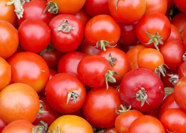 Çiftçi pazarında satılık taze domateslere yakından bakın.