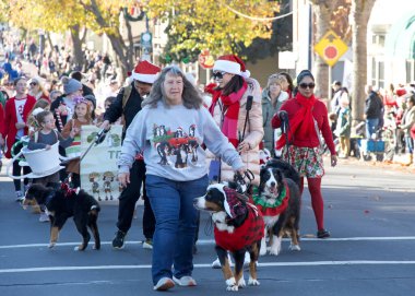Benicia, CA - 9 Aralık 2023: Geleneksel Benicia Noel Geçit Töreni 'ne katılanlar, yerel bando grupları, dansçılar ve beklenen Noel Baba.