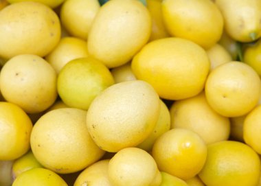 Farmer 's Market' te sergilenen taze limonata yığınını kapat. Limequat bir turunçgiller karışımıdır. Anahtar kireç ve kumkat karışımının bir sonucu.