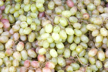 Çiftçi pazarındaki saplardaki taze organik yeşil ve pembe üzümlere yakın durun. Taze meyve arkaplanı.