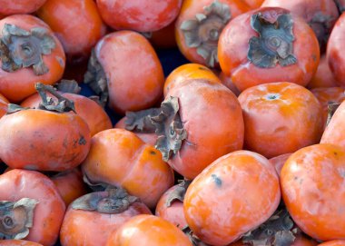 Çiftçi Pazarı 'nda sergilenen yeni toplanmış hurma yığınını kapat.