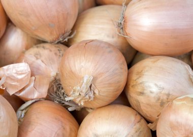 Çiftçi pazarında satılacak taze sarı soğanlara yakın bir yerde. Taze organik sebzeler.