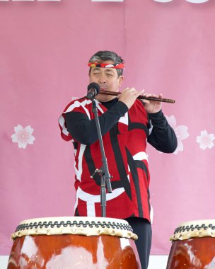 San Francisco, CA - 13 Nisan 2024: Japonya 'daki Kiraz Çiçeği Festivali' nde müzisyenler sahne alacak. Dünyanın en iyi 10 kiraz çiçeği festivalinden biri..