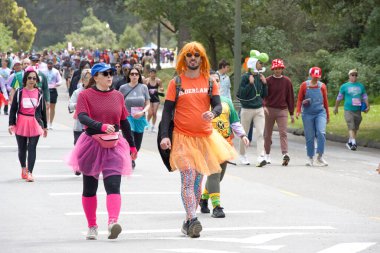 San Francisco, CA - 19 Mayıs 2024: Geleneksel Bay to Breakers yarışına katılanlar Golden Gate parkından geçecekler. Bay to Breakers, eğlenceli kostümler giyen birçok katılımcısıyla ünlüdür..
