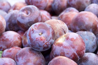 Çiftçi pazarında satılan taze erik yığınına yakından bak yukarıdan bak..