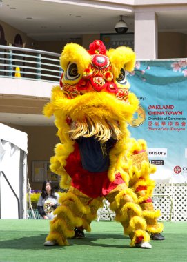 Oakland, CA - 24 Ağustos 2024: Cal VSA Aslan Dansçıları Oakland Çin Mahallesi 35. Özgür ve halka açık.