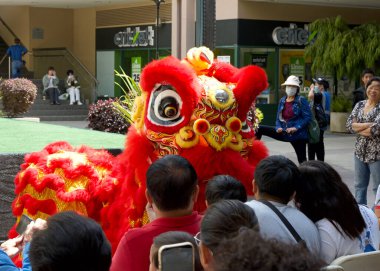 Oakland, CA - 24 Ağustos 2024: Cal VSA Aslan Dansçıları Oakland Çin Mahallesi 35. Sonbahar Sokak Festivali 'nde seyircilerle etkileşim halindeler. Özgür ve halka açık.